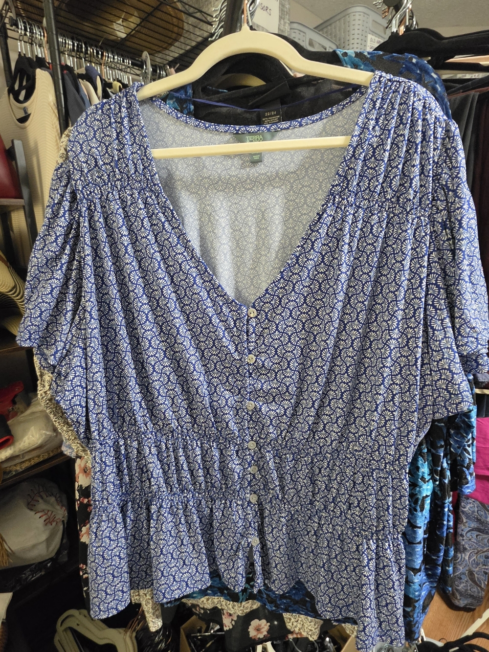 Terra & Sky Blue Printed V-Neck Button-Front Blouse